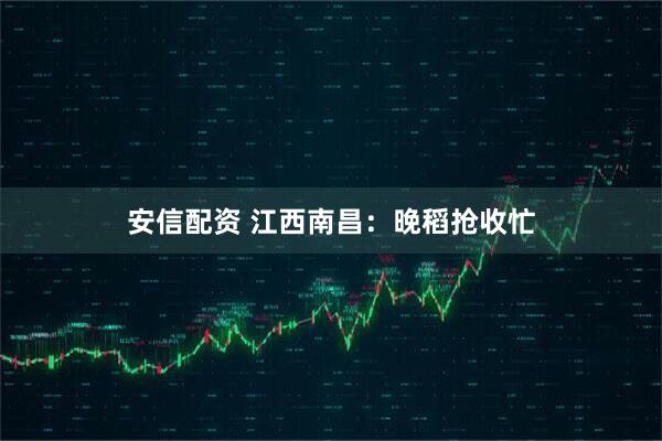 安信配资 江西南昌:晚稻抢收忙