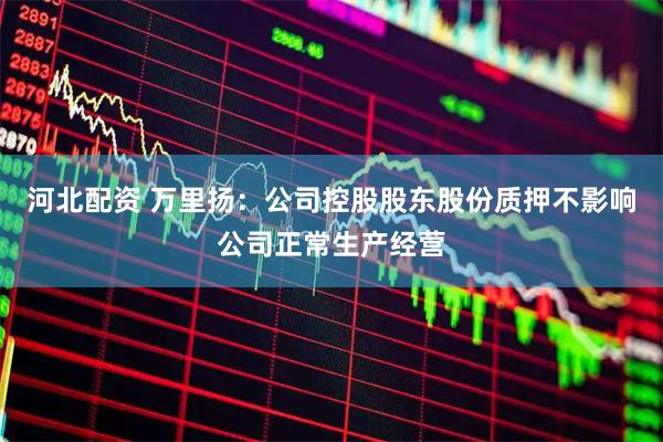 河北配资 万里扬：公司控股股东股份质押不影响公司正常生产经营