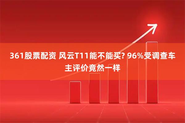 361股票配资 风云T11能不能买? 96%受调查车主评价竟然一样