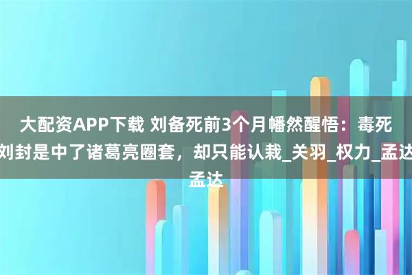 大配资APP下载 刘备死前3个月幡然醒悟：毒死刘封是中了诸葛亮圈套，却只能认栽_关羽_权力_孟达